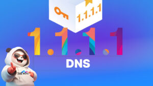 dns 1 1 1 1 la gi